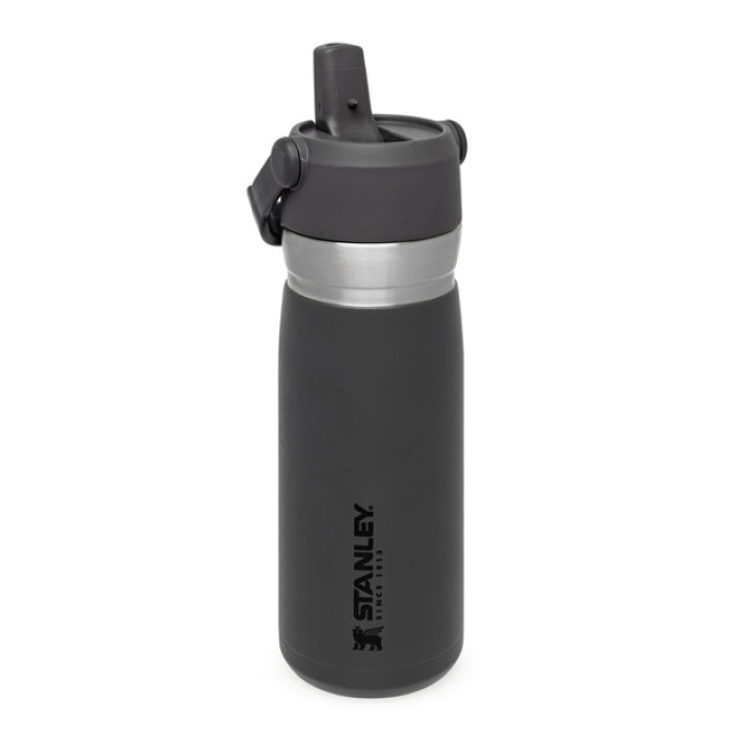 Термобутылка Stanley Go IceFlow 0,65 л, серая